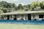 Colombia Hector Lopez Chiroso - Crafted for a Brighter Brew