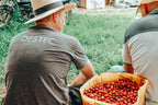 Peach Cobbler - A Smooth Pick for Coffee Lovers